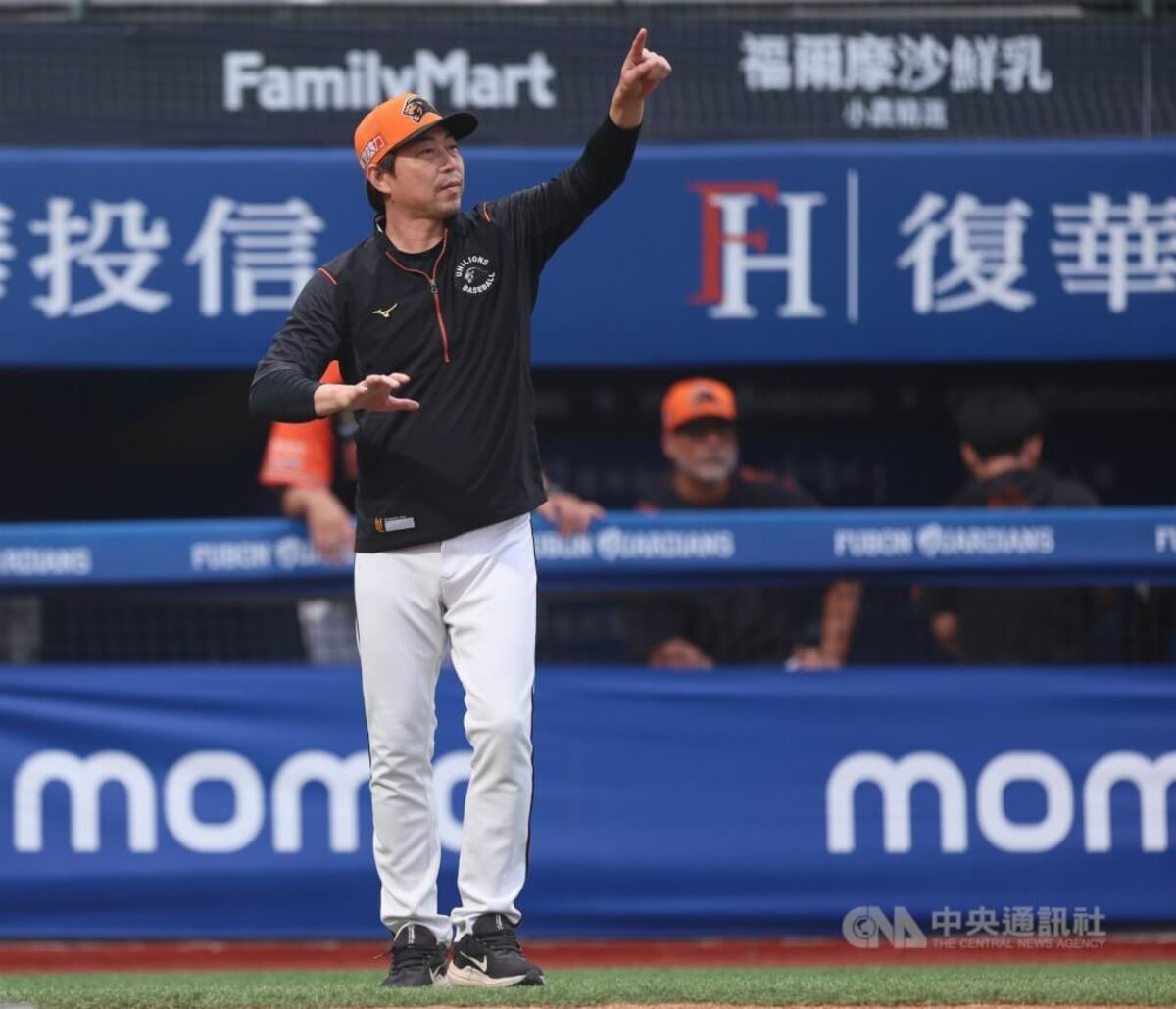 獅慰留林岳平續任總教練 胡金龍接一軍助理打教