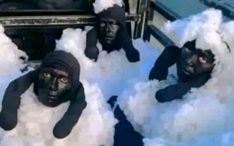 這3隻小羊怪怪滴! 網傳阿爾及利亞3男裝「綿羊」企圖偷渡 被當場拆穿