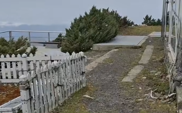 (影)玉山下初雪!中午大雪紛飛30分鐘 「雪花飄落」畫面曝光