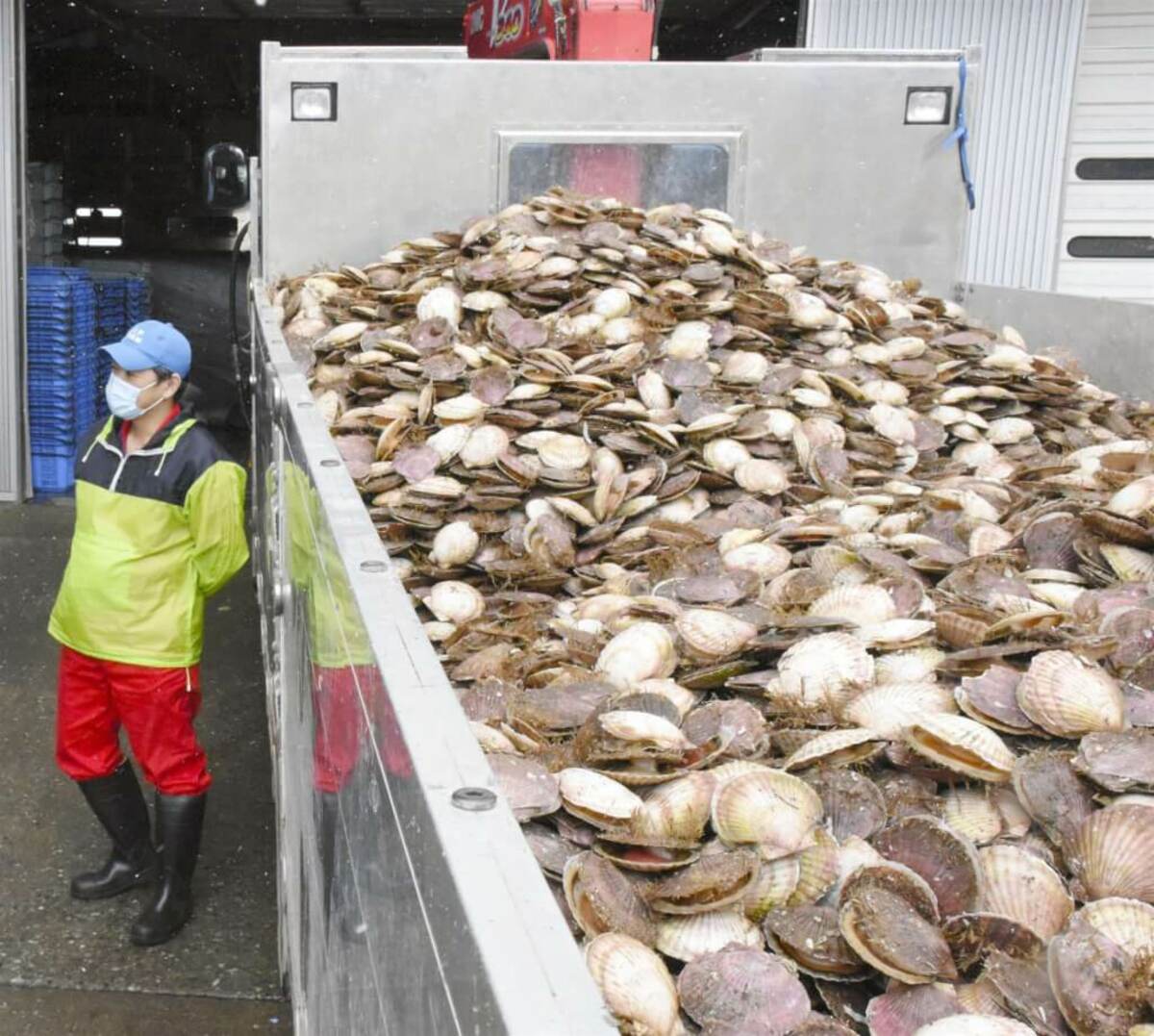 中國再禁日水產衝擊有限  業者早已開拓新通路