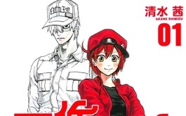 高市早苗涉台言論引抵制 港台31頻「無預警」撤檔日本動畫《工作細胞》