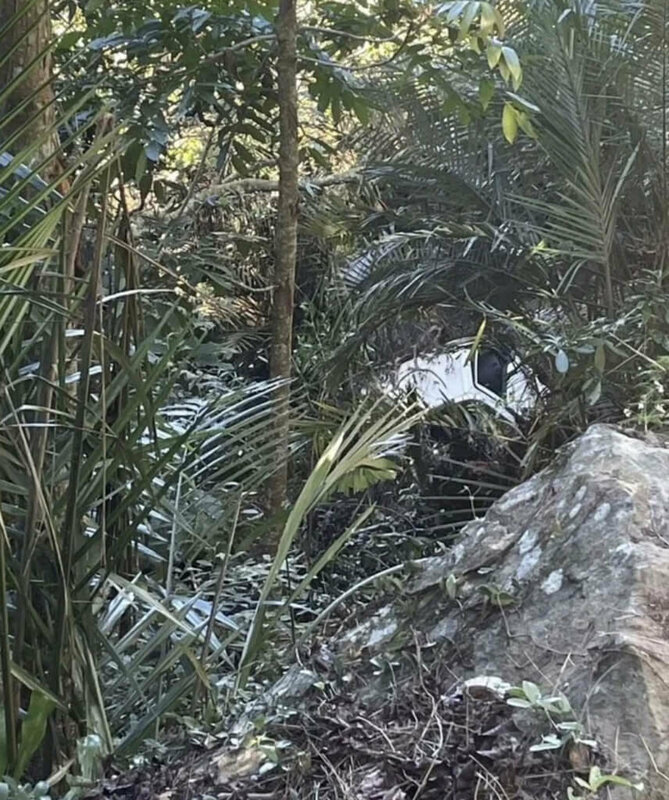 南投草屯墜谷小貨車內驚見乾屍　疑國姓鄉失聯男子