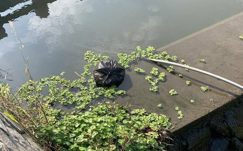 斥資35億整治鹿港溪被糟蹋!12天第8包垃圾 縣府震怒要逮人