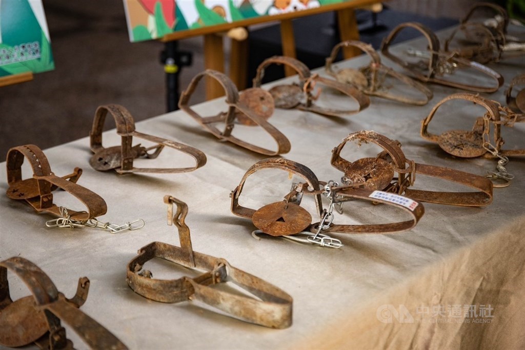 台南農夫設獸鋏誤傷流浪犬挨罰 打行政訴訟仍敗訴