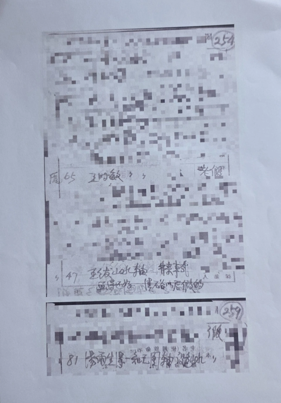  南京博物院向法庭提交的鑒定材料， 大部分都打上了馬賽克。 圖：翻攝自 澎湃新聞 