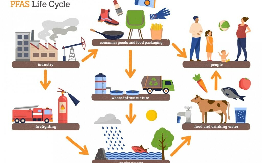 蔡筱穎觀點》去毒物保健康！法國PFAS禁令生效 推動全球化工行業轉型