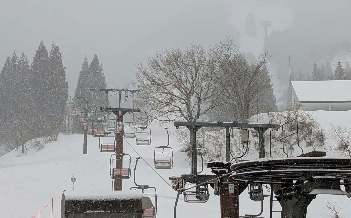 台灣遊客日本滑雪場出事!6人滑雪迷路受困今晨獲救