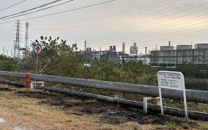 高雄男抓綠鬣蜥誤觸高壓電!4大企業停電 台電保留追訴權