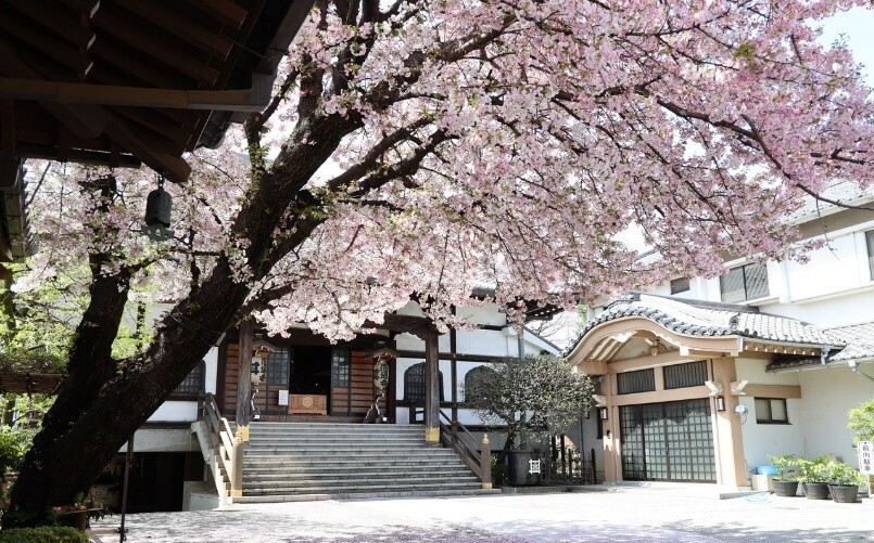 迎接新年!日本東京4大精選「走春參拜之旅」快筆記