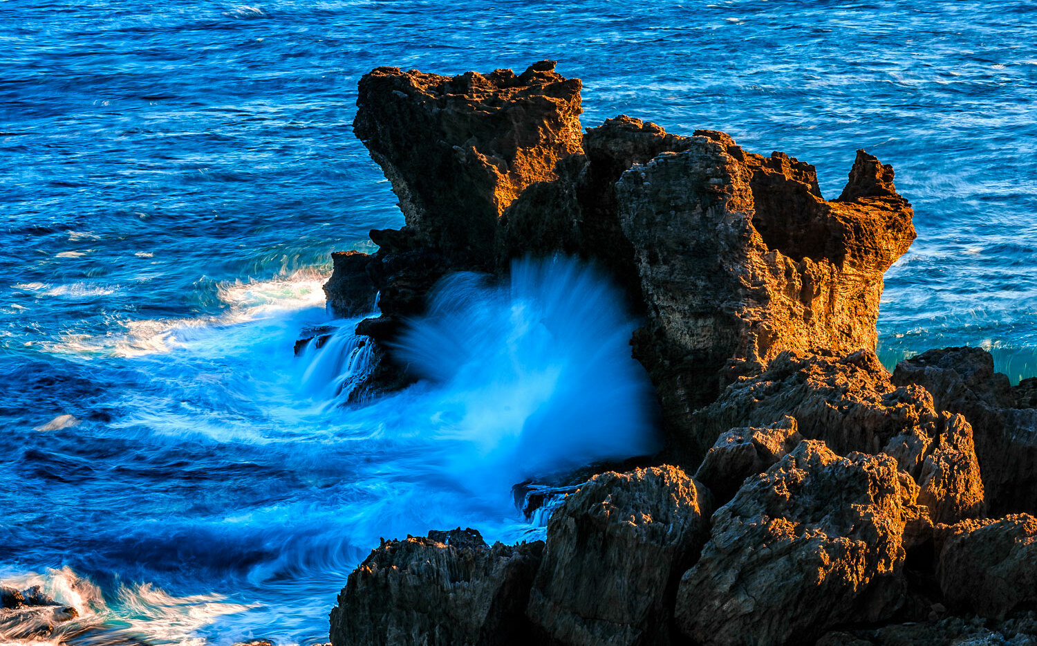 懶人包》賞花、看表演、逛市集!8大國家公園春節活動看這裡