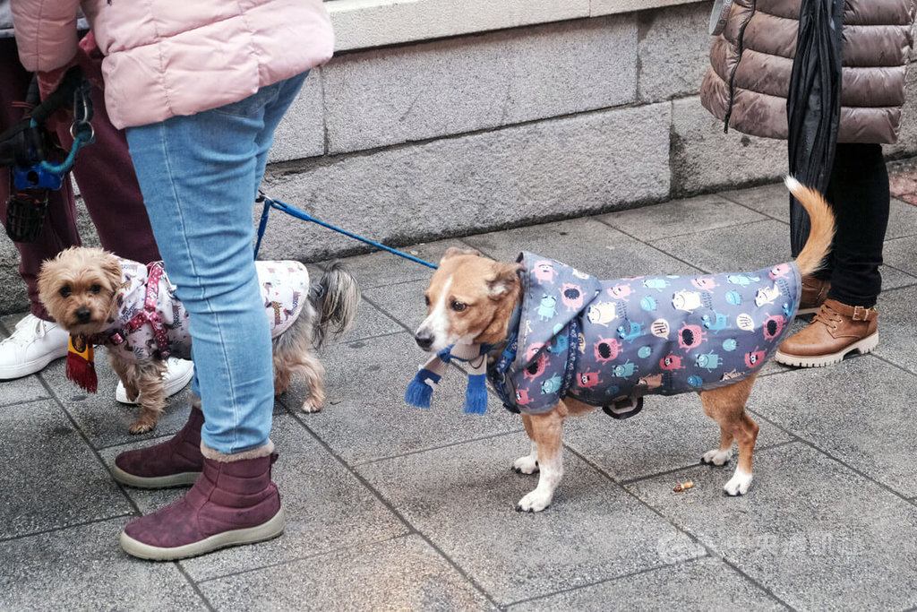 9場風暴襲擊 西班牙1月破25年來最多雨紀錄