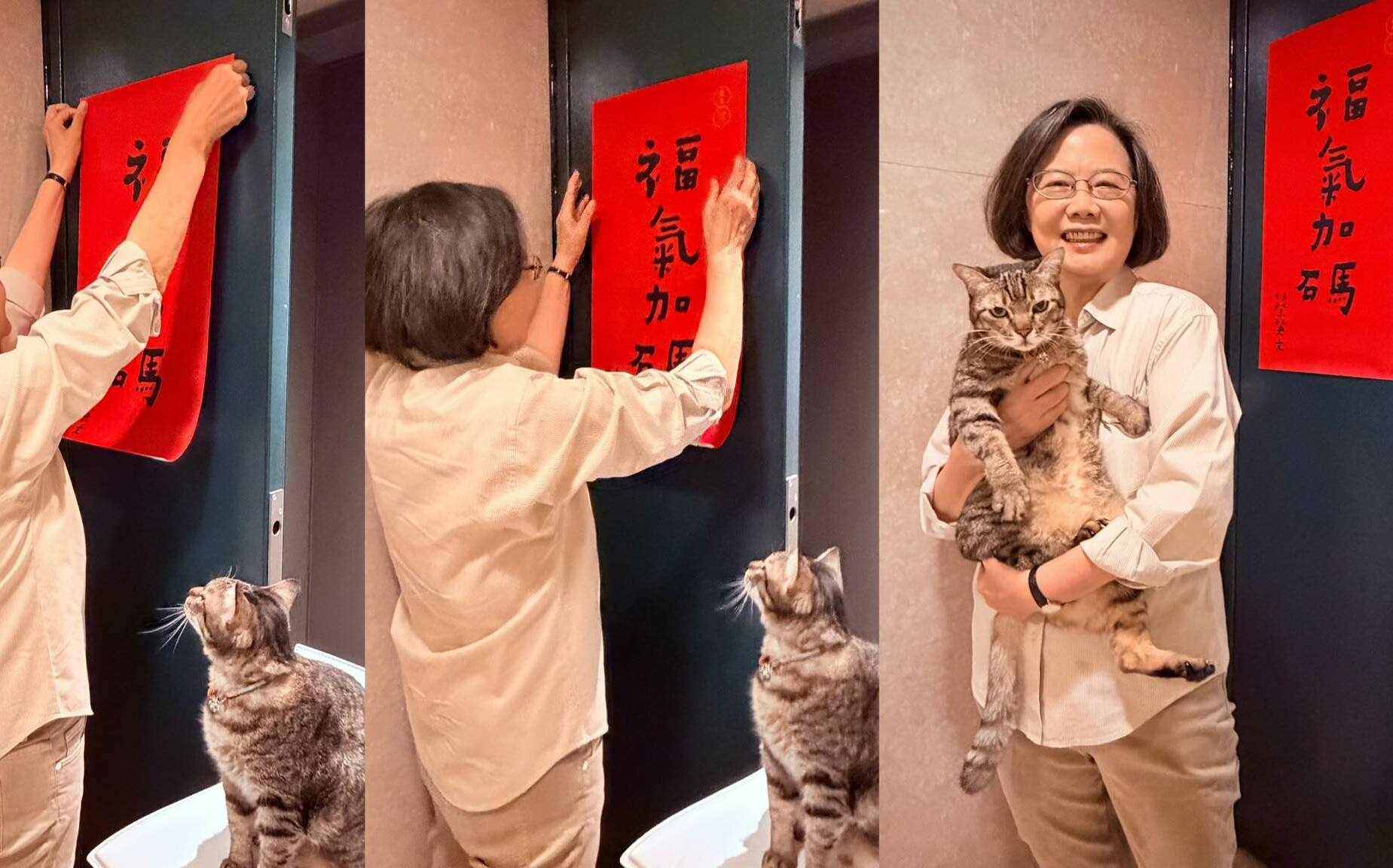 前總統蔡英文除夕親貼「福氣加碼」春聯 愛貓全程監督萌翻網友