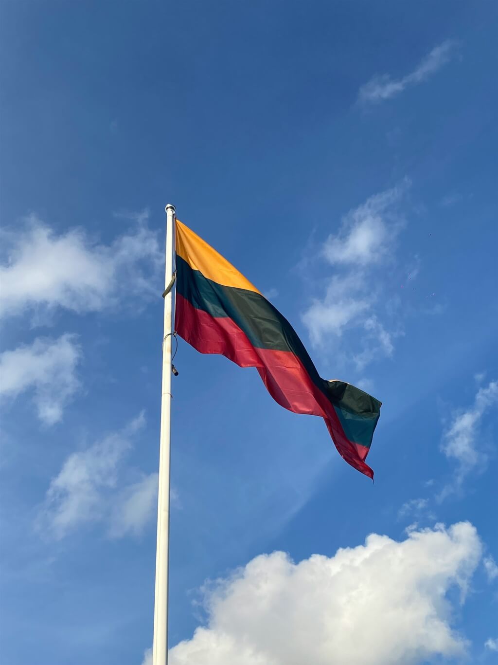 立陶宛外長:不全盤接受中方要求 續推進對台合作