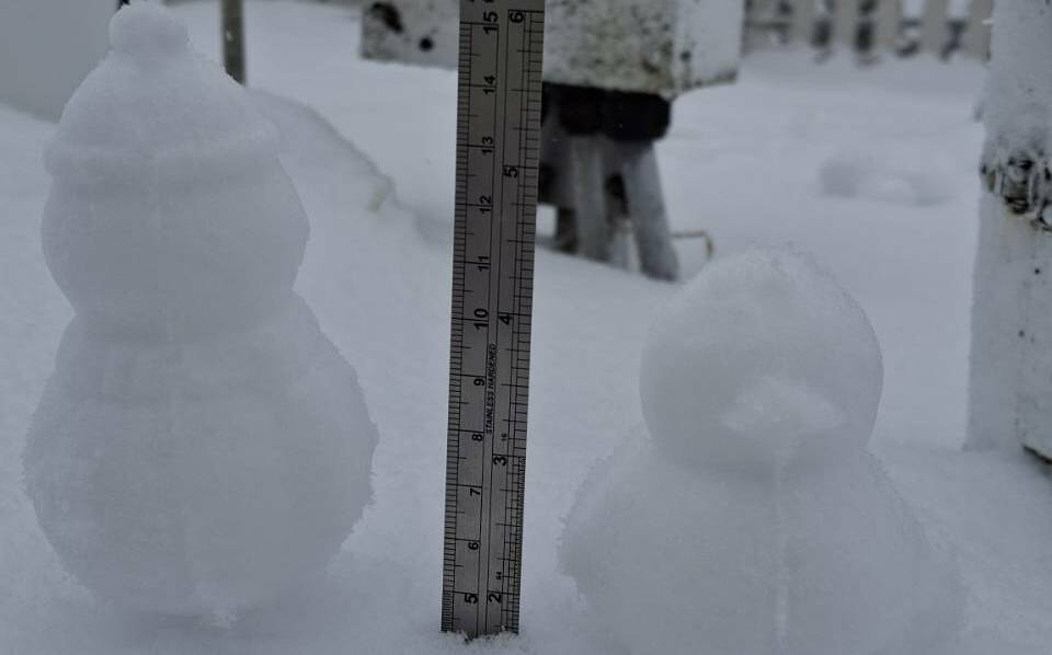 (影)玉山雪狂下3小時!大雪紛飛積雪4公分 夢幻畫面曝光