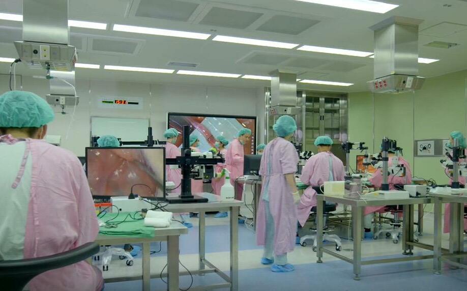 確保動物照護!每年支援200件研究 林口長庚實驗動物中心獲國家級大獎