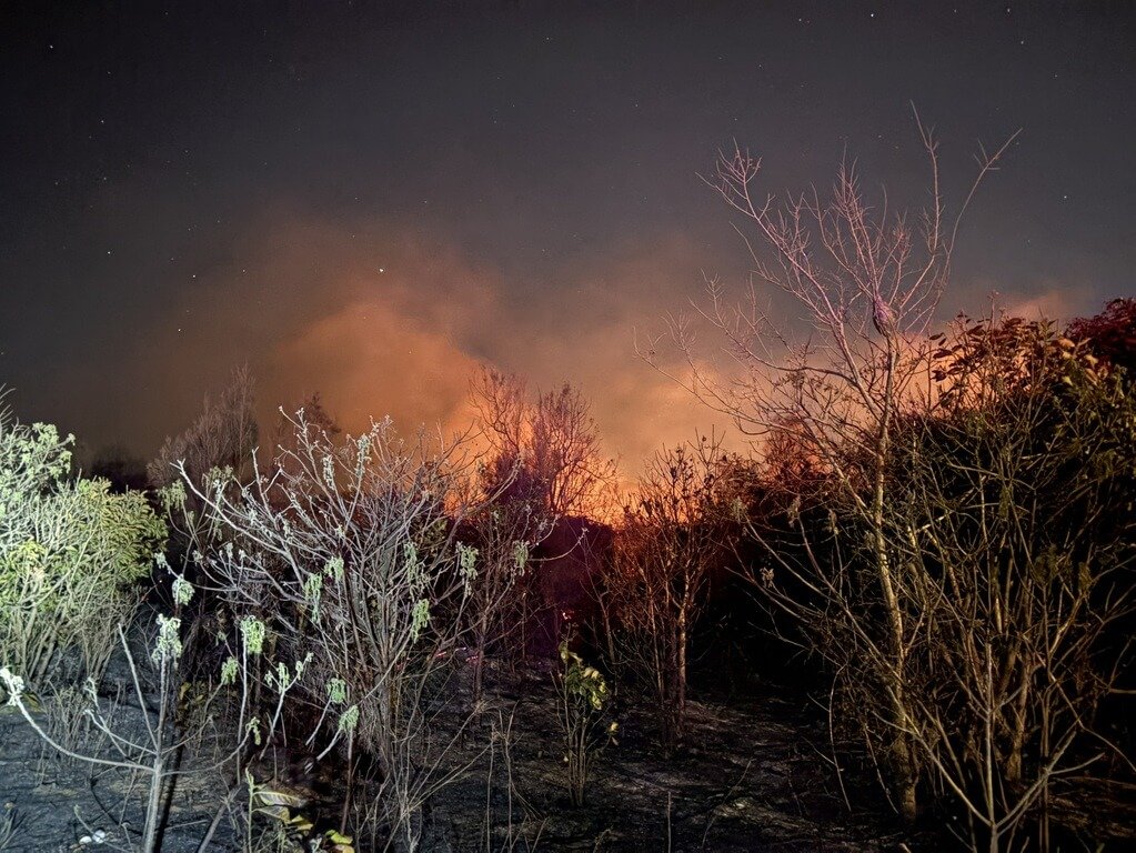 金門強風鎮海宮深夜雜草延燒3千坪 消防5小時撲滅