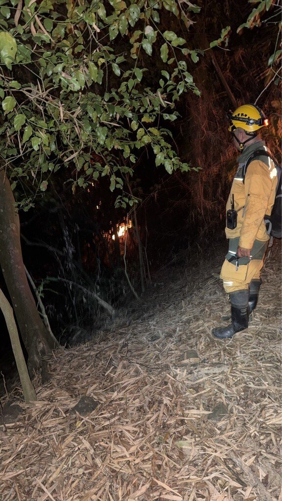 美濃近黃蝶翠谷竹林火警 消防陸空搶救撲滅