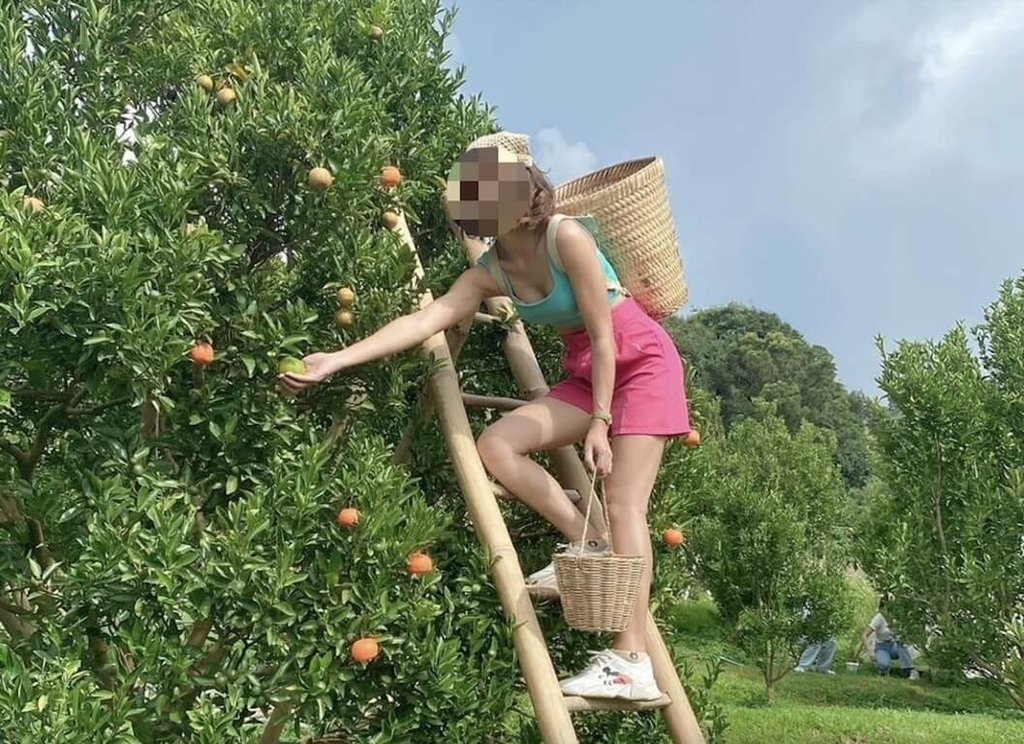 血汗農場壓榨非法移工 警破獲人口販運仲介集團