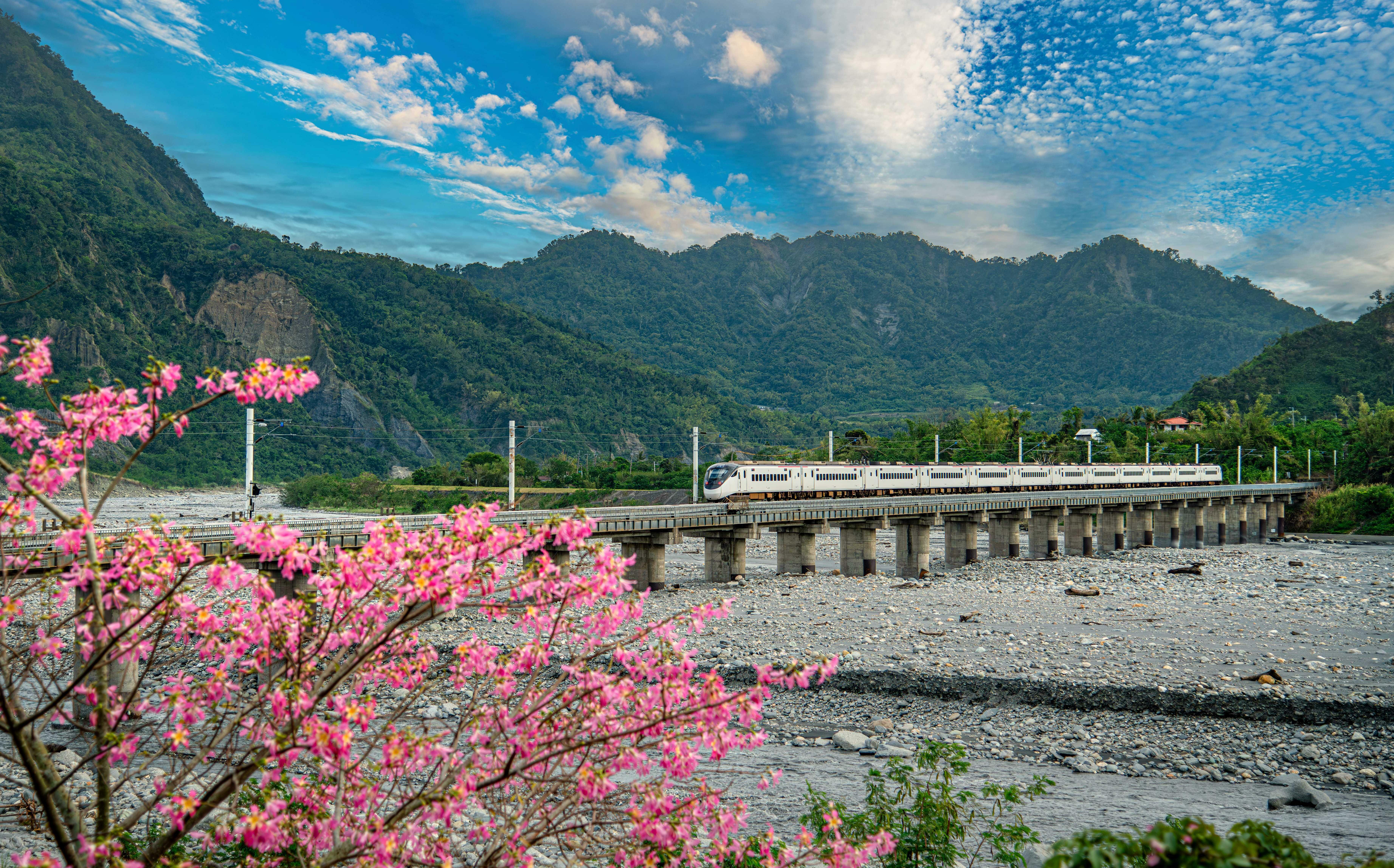 清境、阿里山都能去!Taiwan PASS升級版4/1開賣 一票搞定15景點交通