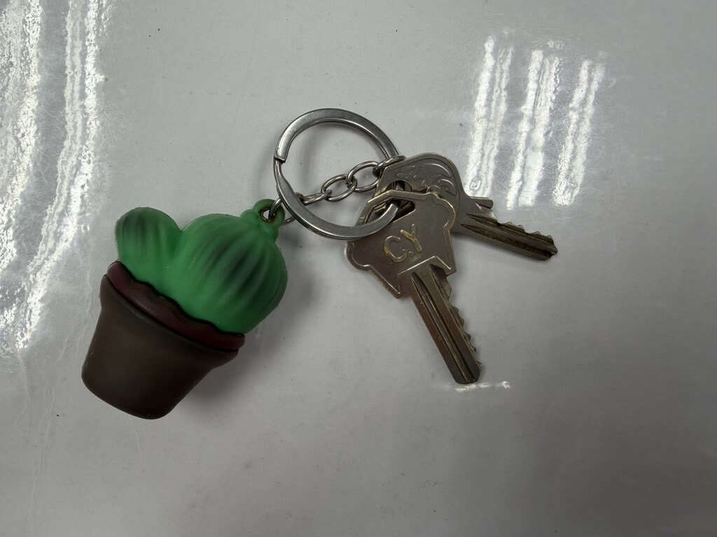 高雄議員參選人看板遭刮損 男稱等公車臨時起意