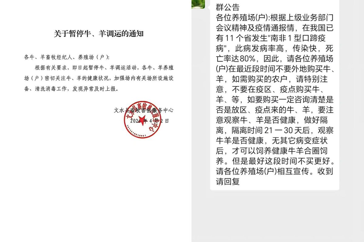 山西文水縣畜牧獸醫服務中心 4 月 2 日發布正式通知，要求即日起暫停牛羊調運，並強化消毒與健康監測措施。 圖:翻攝自X帳號@whyyoutouzhele