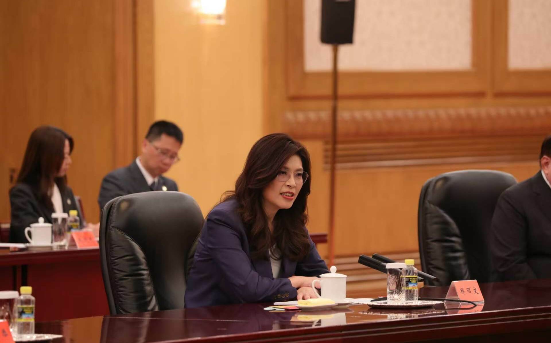 鄭習會》被曝光想當「台灣的主人」 鄭麗文解釋：想邀習近平訪台