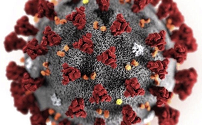 COVID又來了?!BBC:變種「蟬」現蹤23國WHO列入「監測」 兒童風險高於成人