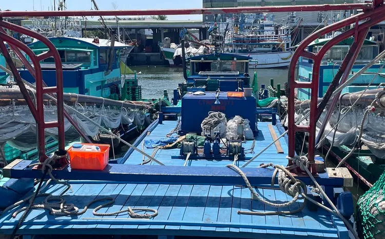 幼貓遭浸豬籠淹死引爆全網怒火!虐貓男遭逮依動保法查處