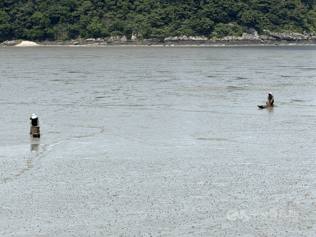 韓國擴大申請泥灘世界遺產 守護生態及傳統面貌