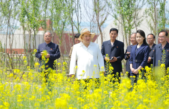 金正恩在視察期間先後參觀多種水耕及土壤栽培溫室，以及試驗栽培設施，詳細聽取農場生產情況與蔬菜科研工作報告。 圖:翻攝自中國僑網