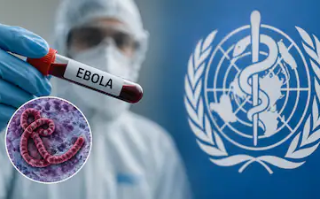 非洲伊波拉疫情升溫!WHO:確診逼近500例 CDC警告最糟恐逾2萬人染疫