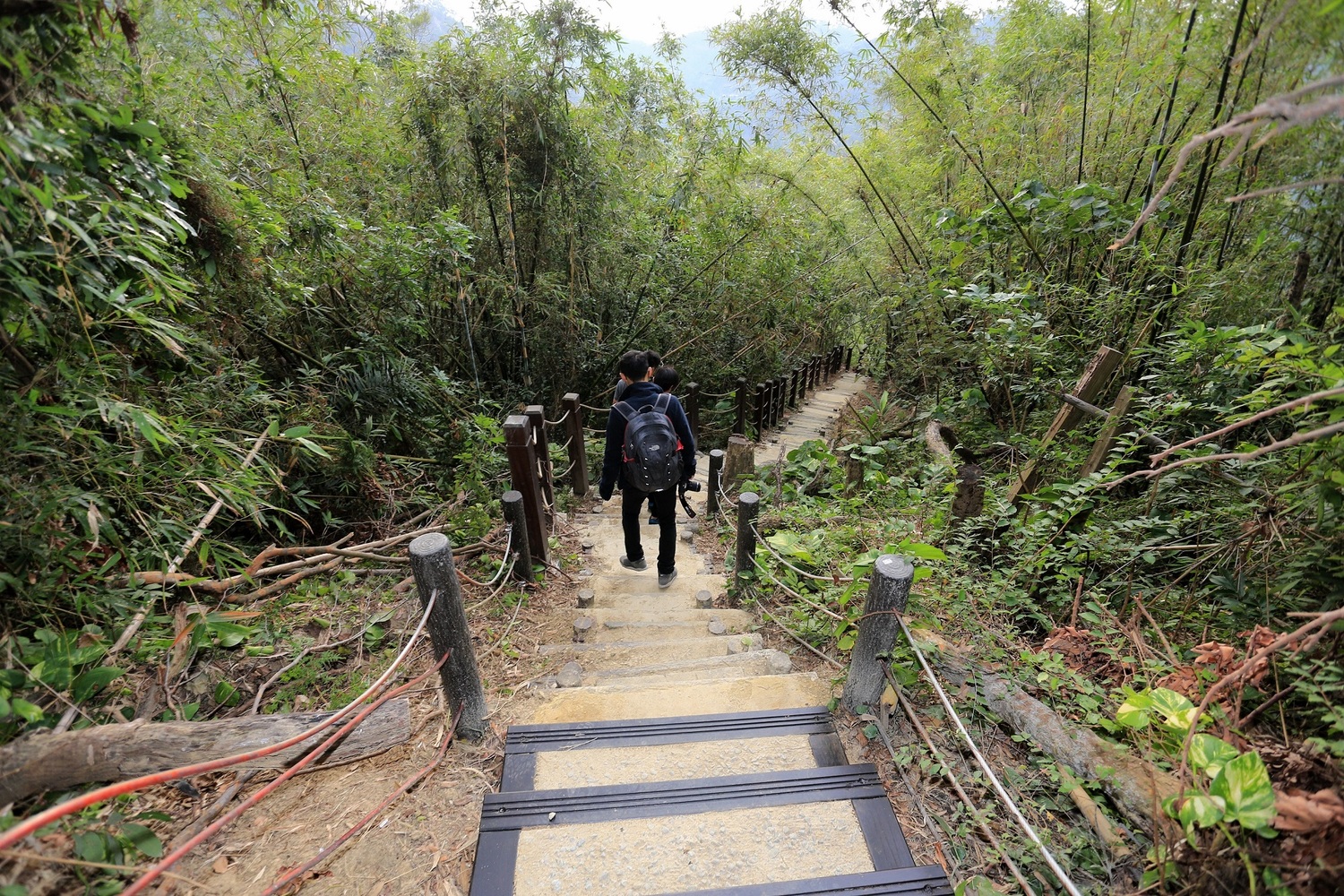 想登山 台中有60條步道等你征服 旅遊 新頭殼newtalk