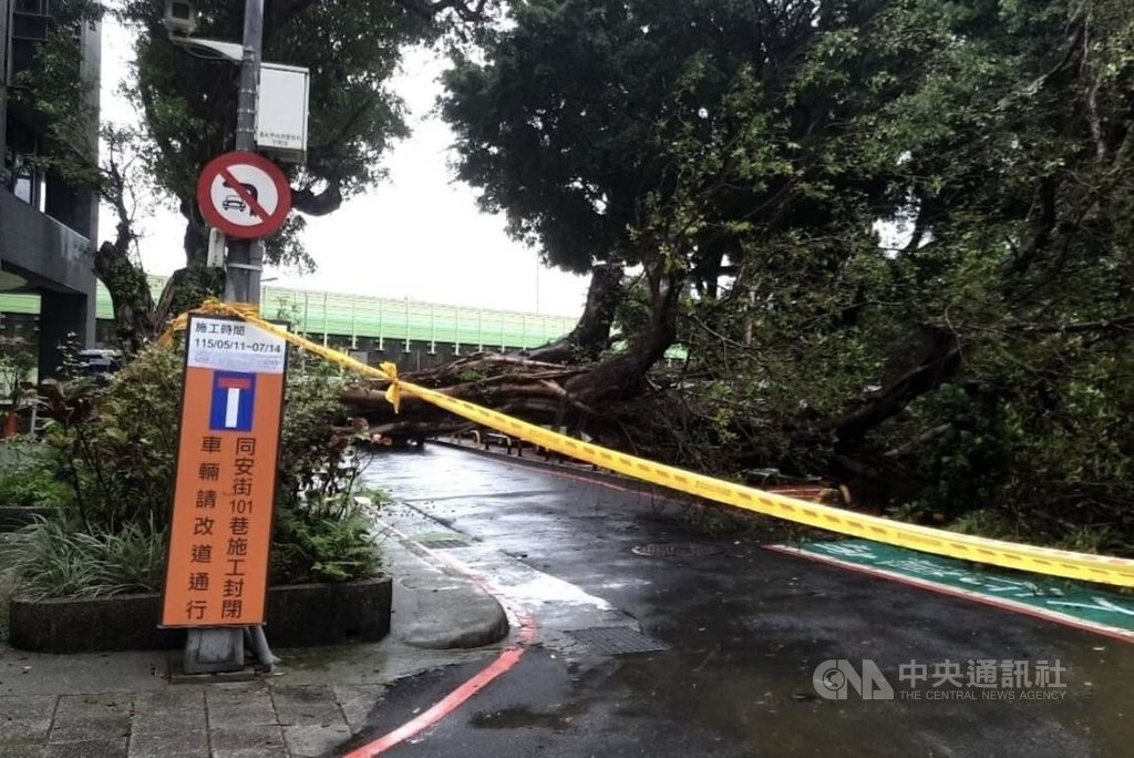 北市水源路樹木傾倒壓壞汽車 現場警戒無人受傷
