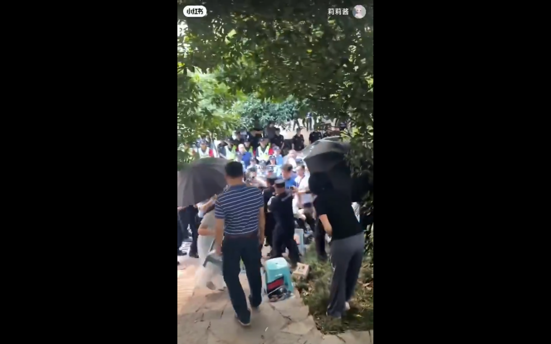 警民發生衝突。 圖:翻攝自X帳號@whyyoutouzhele