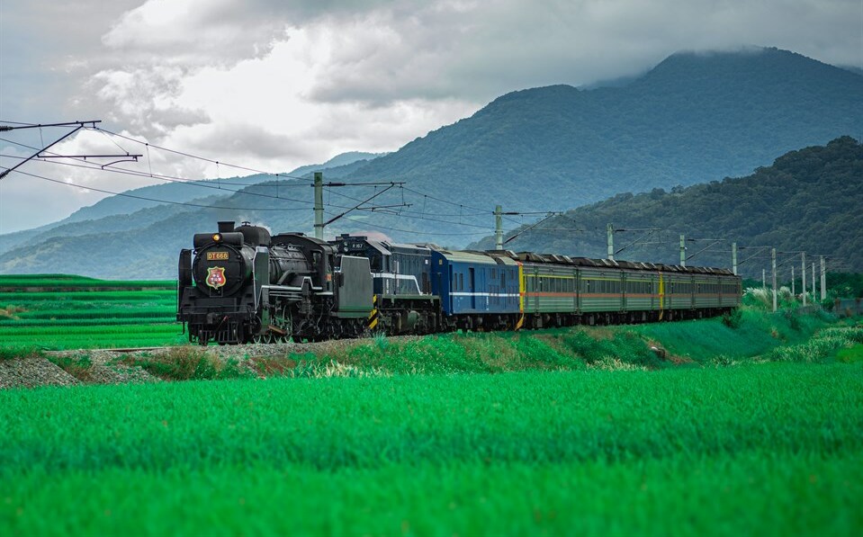 夏日限定花東鐵道之旅!仲夏寶島號暑假啟程 6/15限量開搶