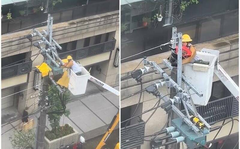 台電維護時暖舉引爆討論!搭建新鳥巢獲網盛讚:直接原地都更