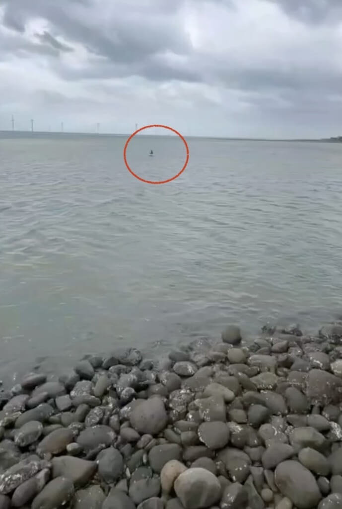 國小男童翹課海濱戲水搭保麗龍漂浮 釣客通報救援