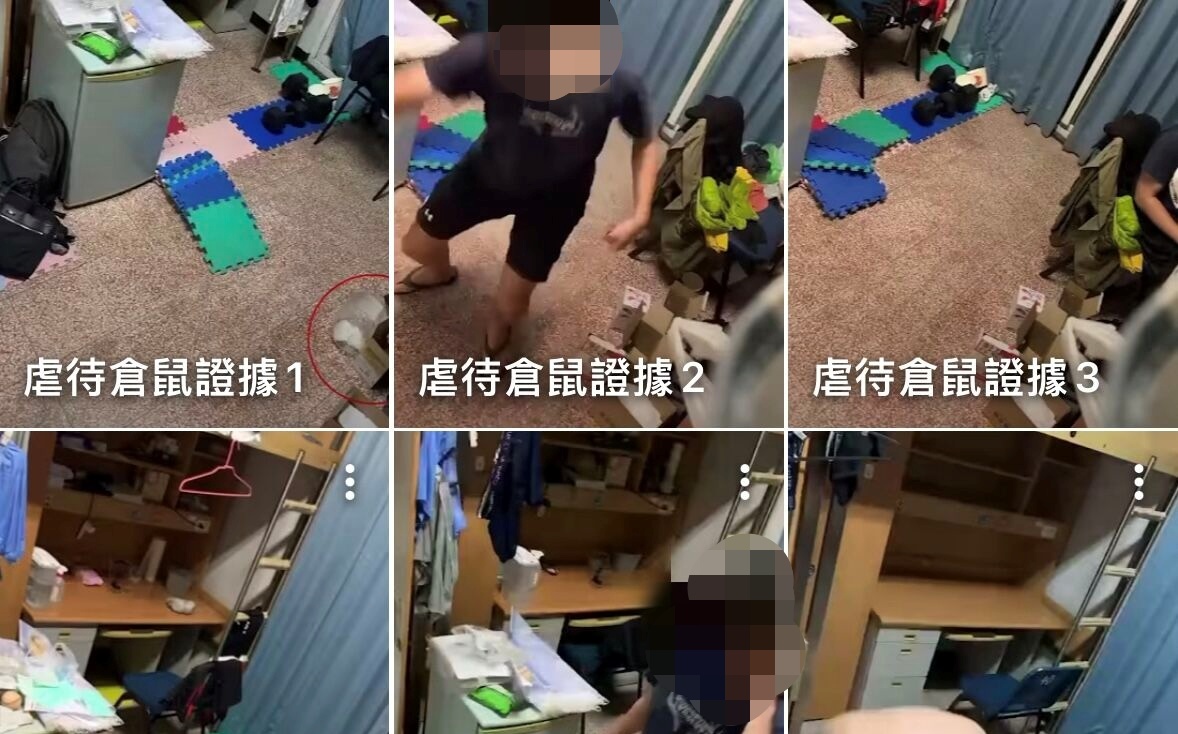 動保處出手了!高雄男大生虐殺倉鼠逾30隻 點火燒、串竹籤引撻伐