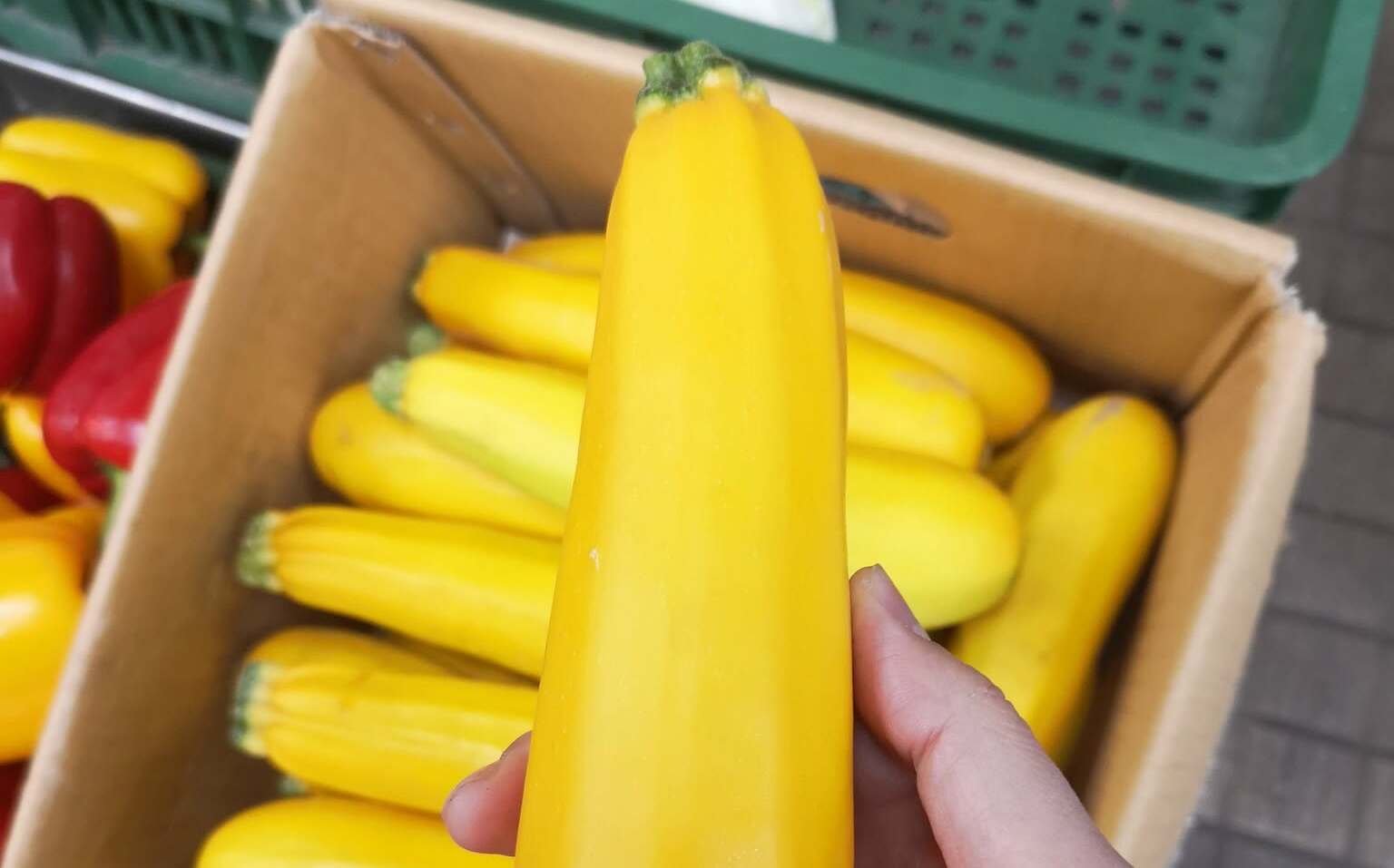 不是龍蝦!專家曝「這蔬菜」一箱破萬:菜金變菜鑽