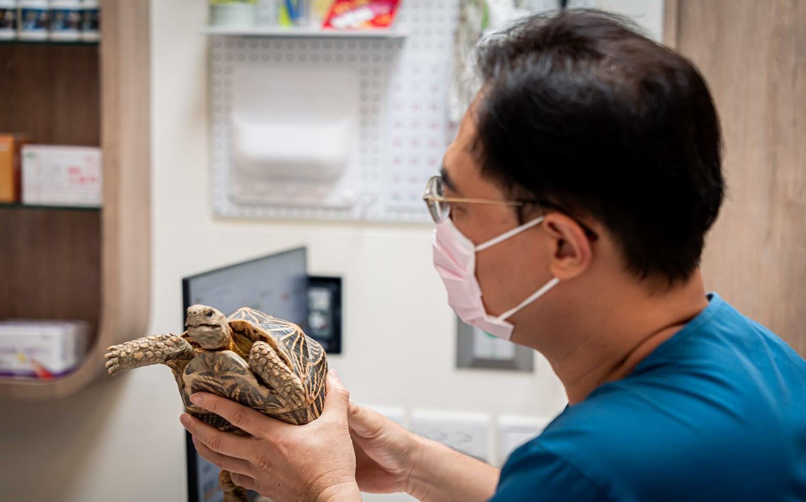 異寵禁養新制上路 專家籲建立專屬醫療、落實多元動物福利