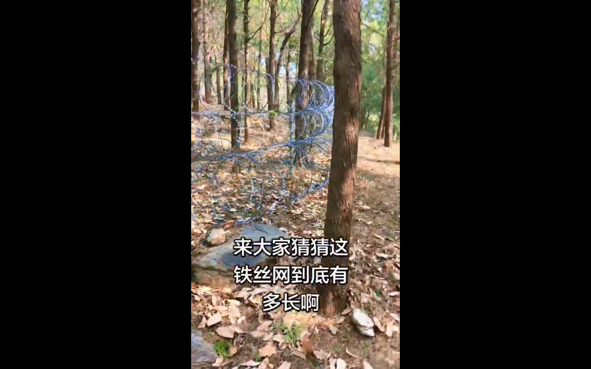近日多名中國網友拍攝影片指出，泰山景區周邊架設長達 135 公里的刀片刺繩鍍鋅隔離網，大量非遊覽區域被圍堵，引發外界質疑。 圖:翻攝自X