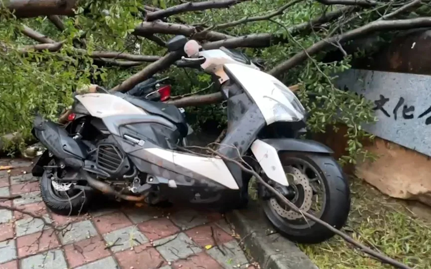 台中多處路樹倒塌!西平公園7輛機車遭砸 警全天候待命