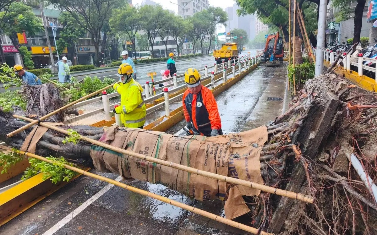 假新聞!網路散播台北市砍4000棵樹為了敵軍無人機偵查 台北市政府澄清非事實