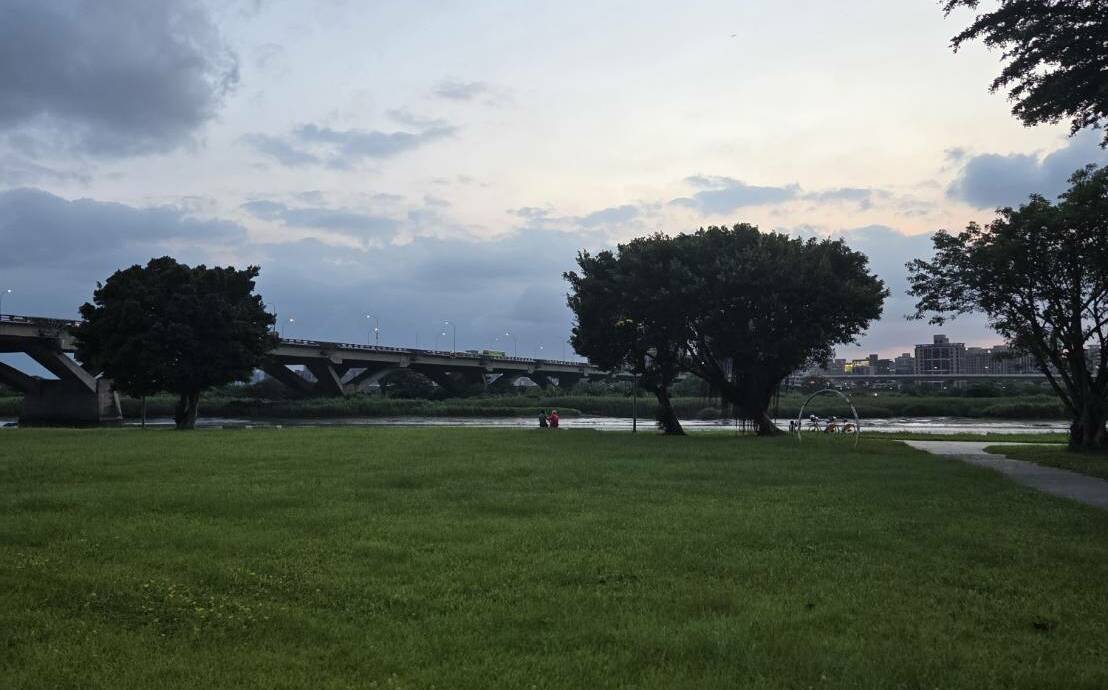樹木被砍不能只怪管理單位?樹木醫揭殘酷真相:不當修剪早毀根系