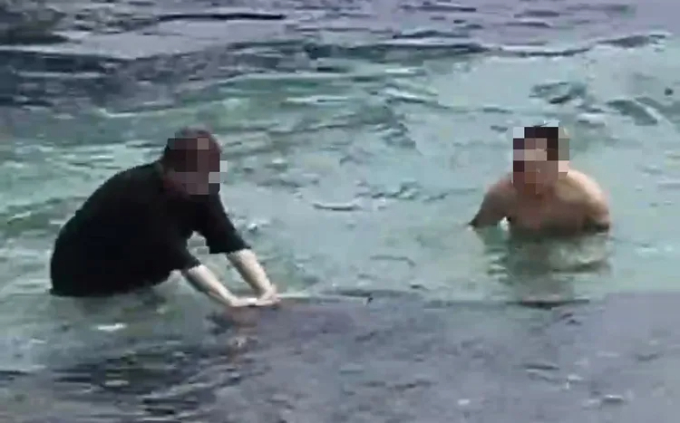 小琉球海龜遭遊客騷擾觸摸!海巡火速逮2嫌 最重開罰30萬
