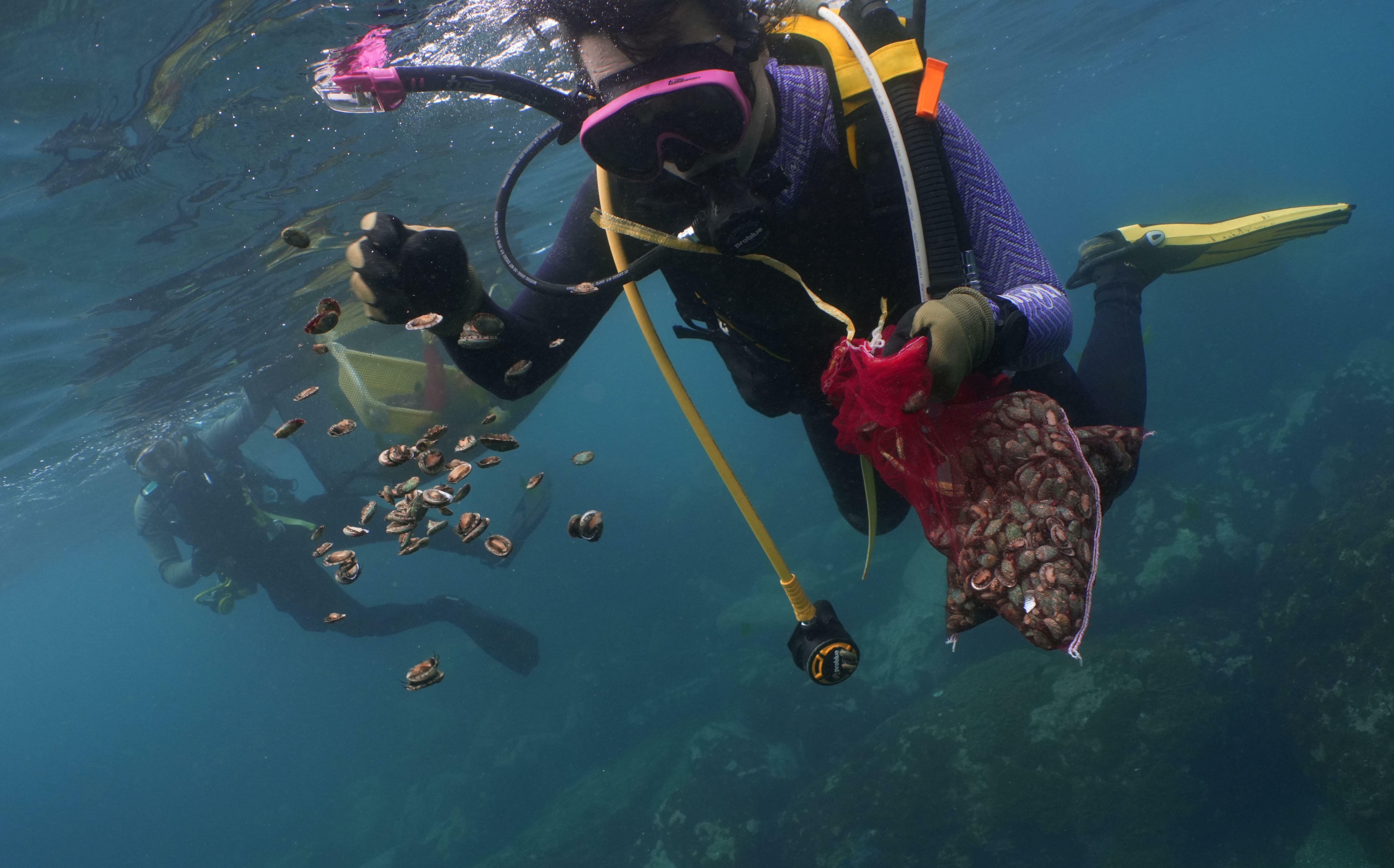 漁獲量12年慘跌40%!新北漁業處擴大保育區 海岸線外3海浬納管