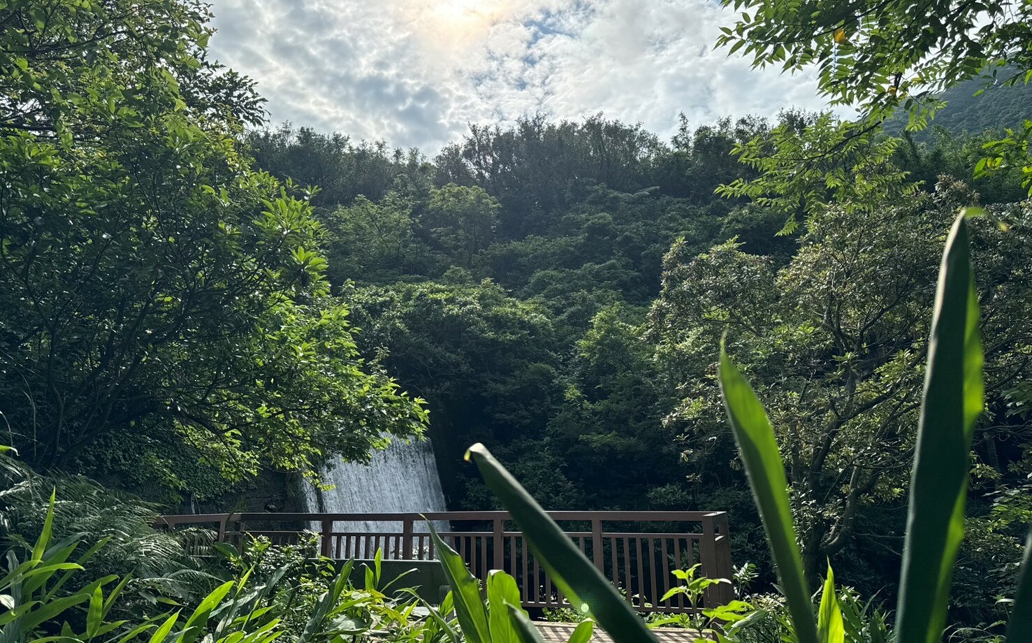 黃金山城新玩法!金瓜石2大遊程 一次體驗淘金、礦山故事