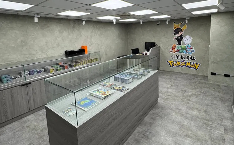小羊卡牌社「500人VIP群」損失慘重!議員爆:有人損失上千萬