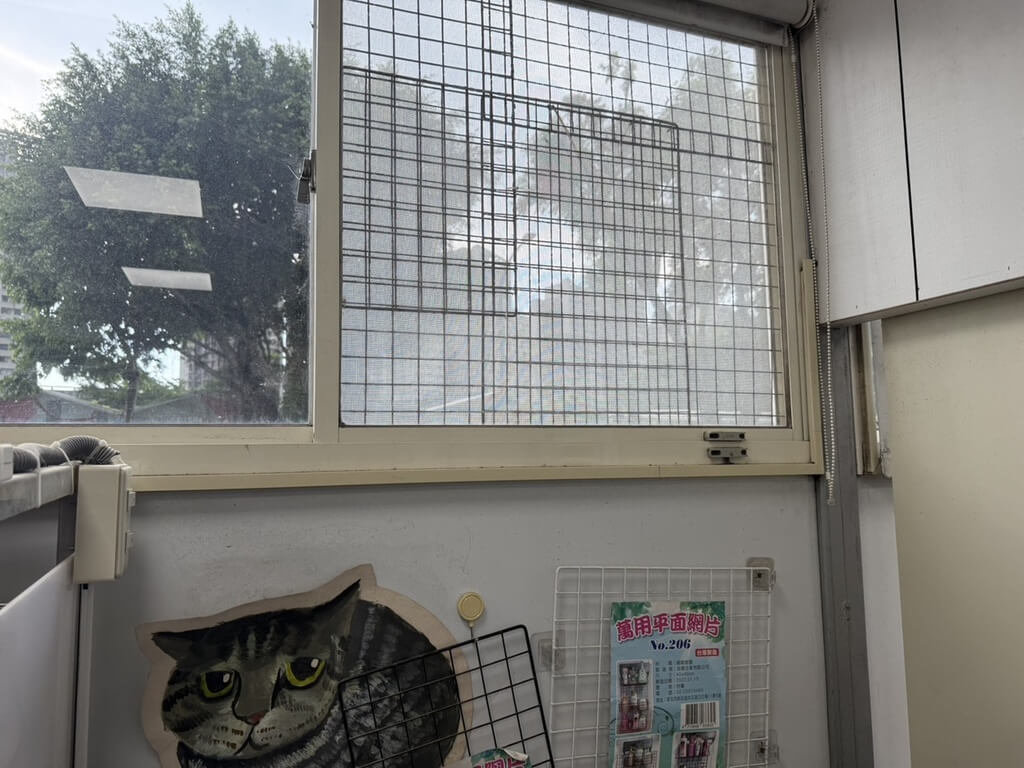 犬隻墜樓亡 飼主遭新北動保罰1.5萬元