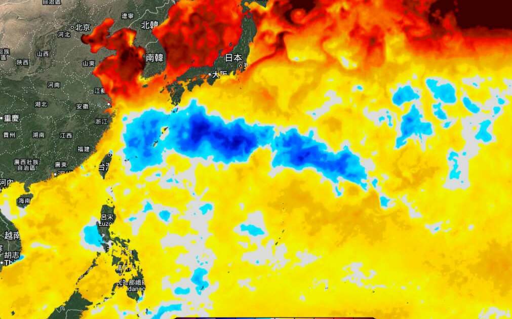 台灣東側驚現長條冷水坑!白海豚、巴威「留下同款陷阱」 影響後續颱風